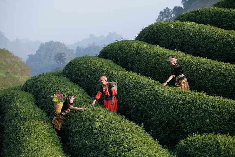 Taste Travel Experiences